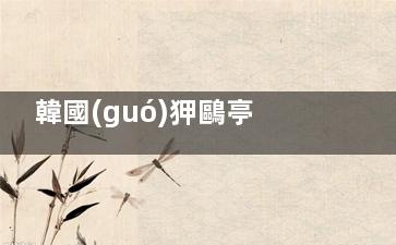 韓國(guó)狎鷗亭洞醫(yī)美機(jī)構(gòu)探店：院長(zhǎng)親診+中文服務(wù)+術(shù)后復(fù)診全攻略，首爾醫(yī)美必打卡地標(biāo)！